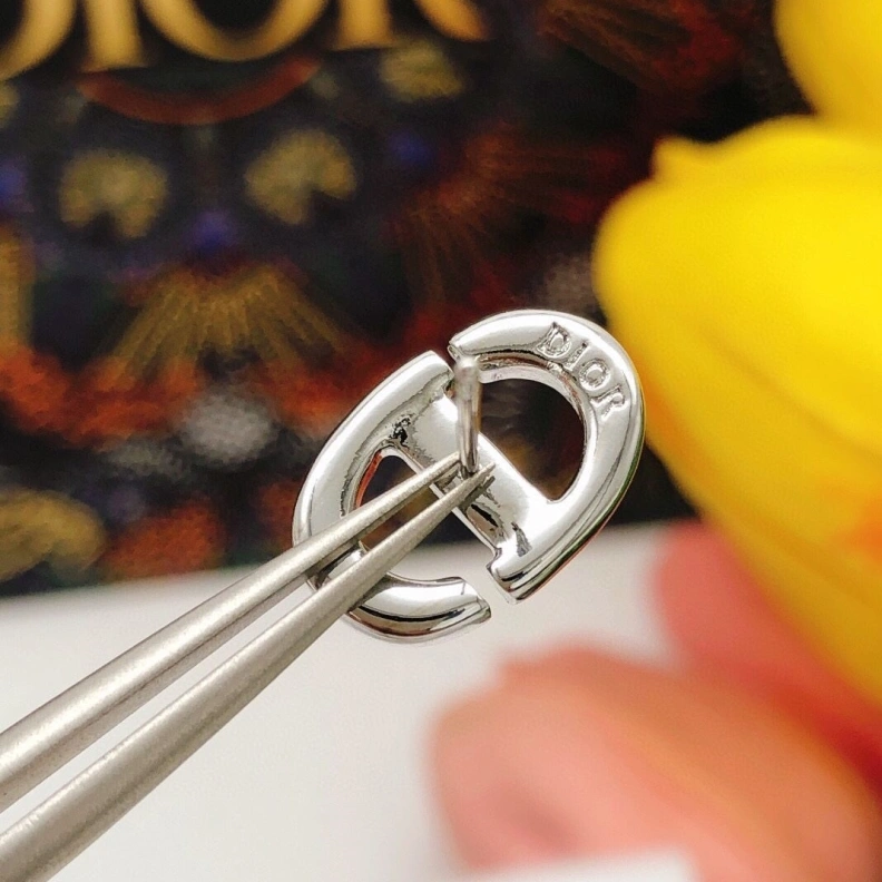 Christian Dxxr Earrings Soft 293917