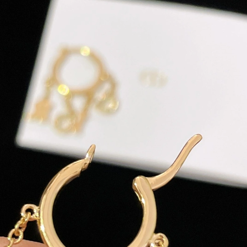 Christian Dxxr Earrings Reliable 293925
