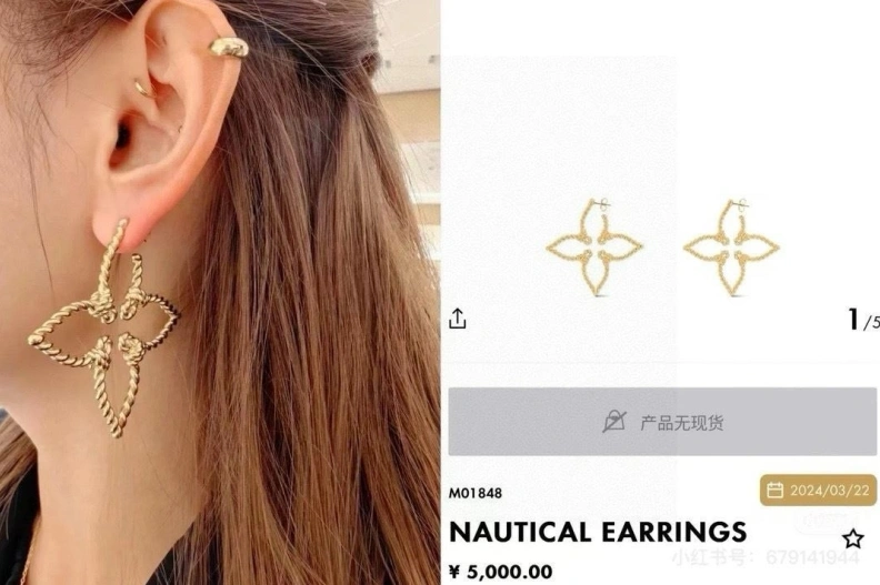 Elegant LX Earrings 308647