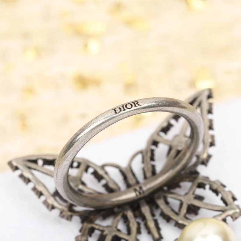 Stylish Christian Dxxr Earrings 293910