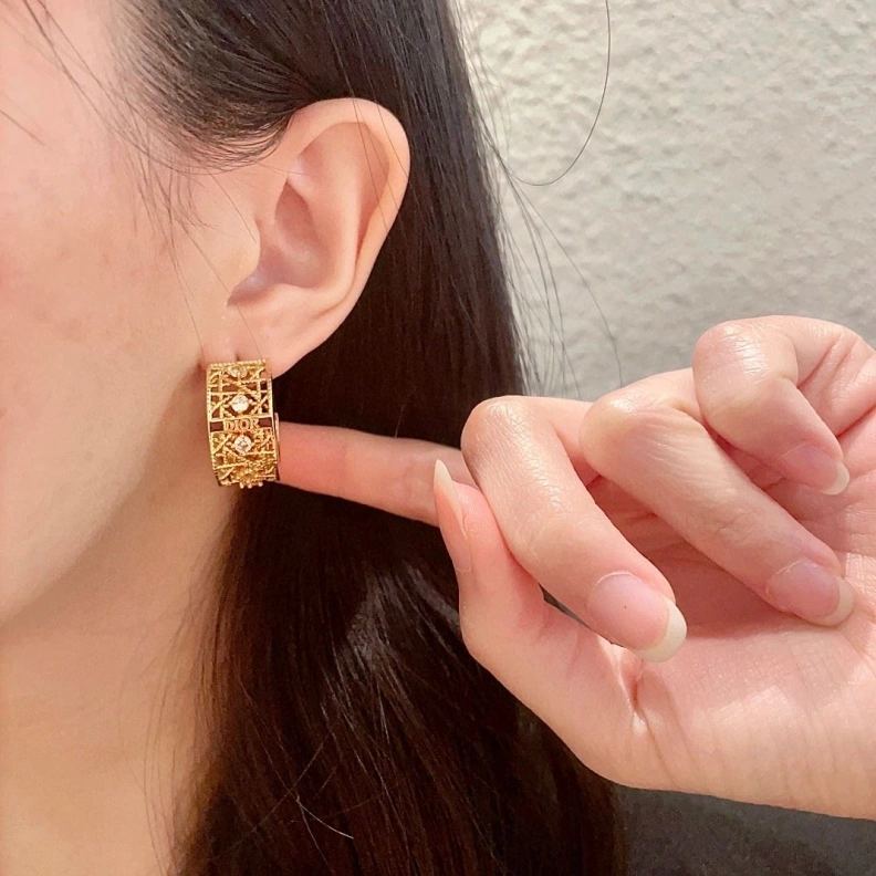 Christian Dxxr Earrings Reliable 293900