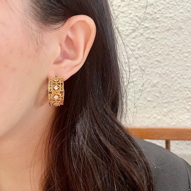Christian Dxxr Earrings Reliable 293900
