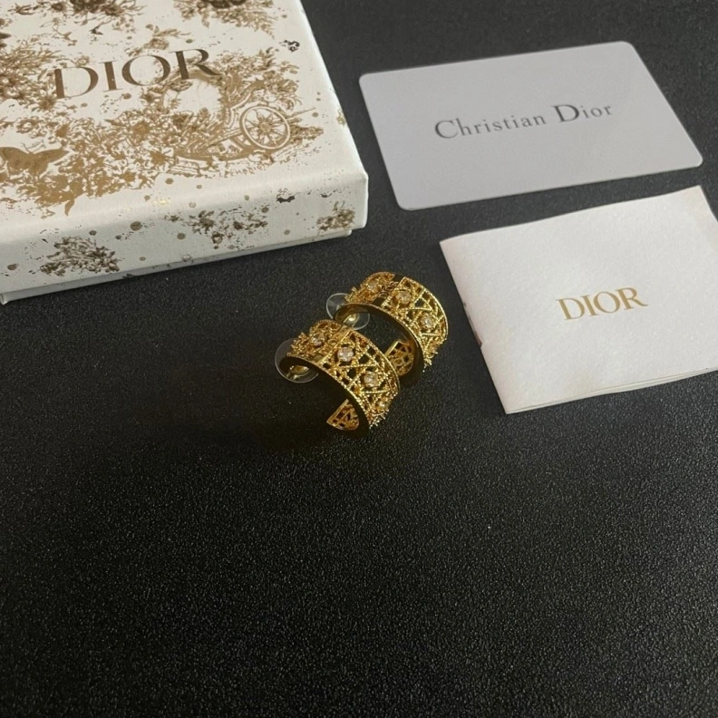 Christian Dxxr Earrings Reliable 293900