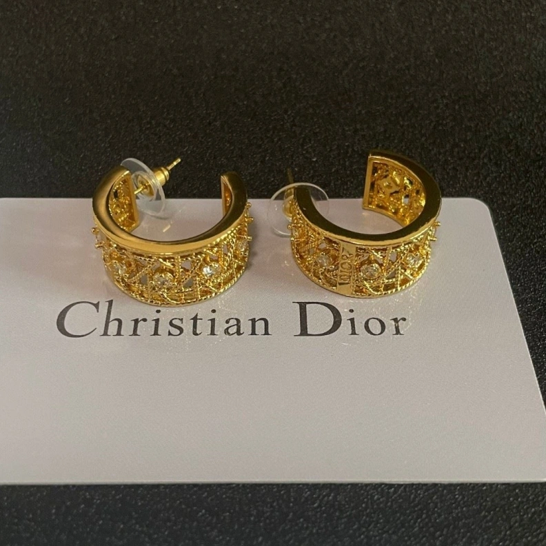Christian Dxxr Earrings Reliable 293900