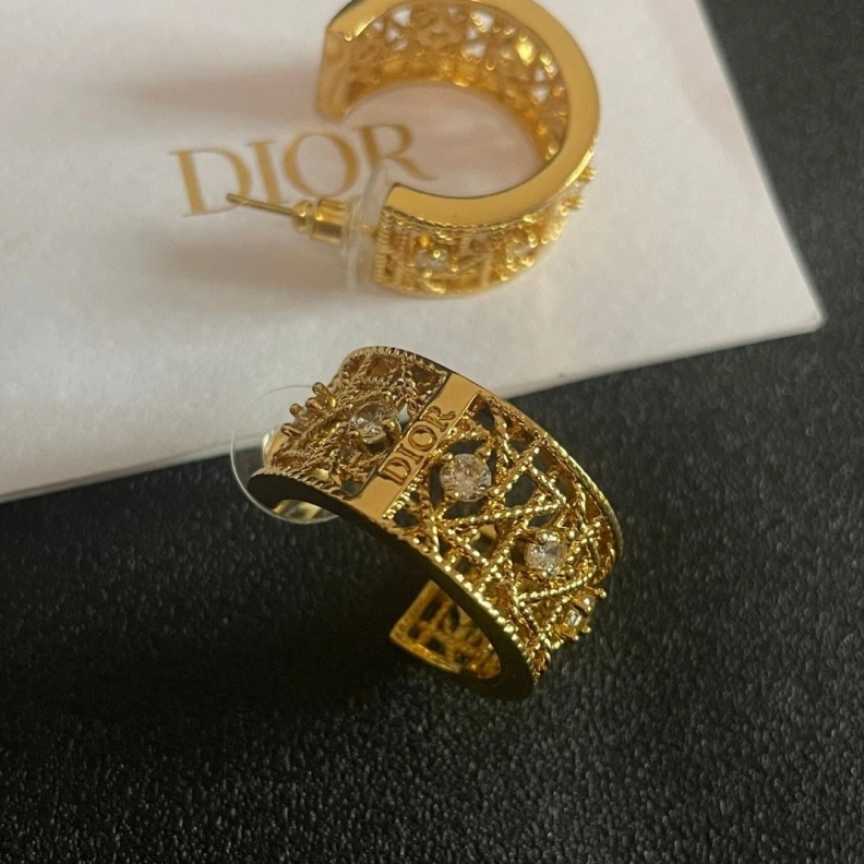 Christian Dxxr Earrings Reliable 293900