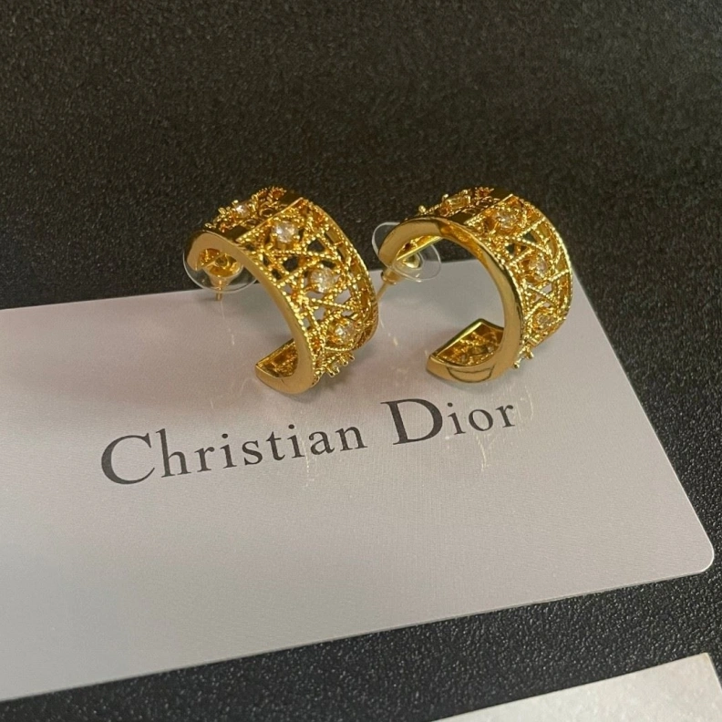 Christian Dxxr Earrings Reliable 293900