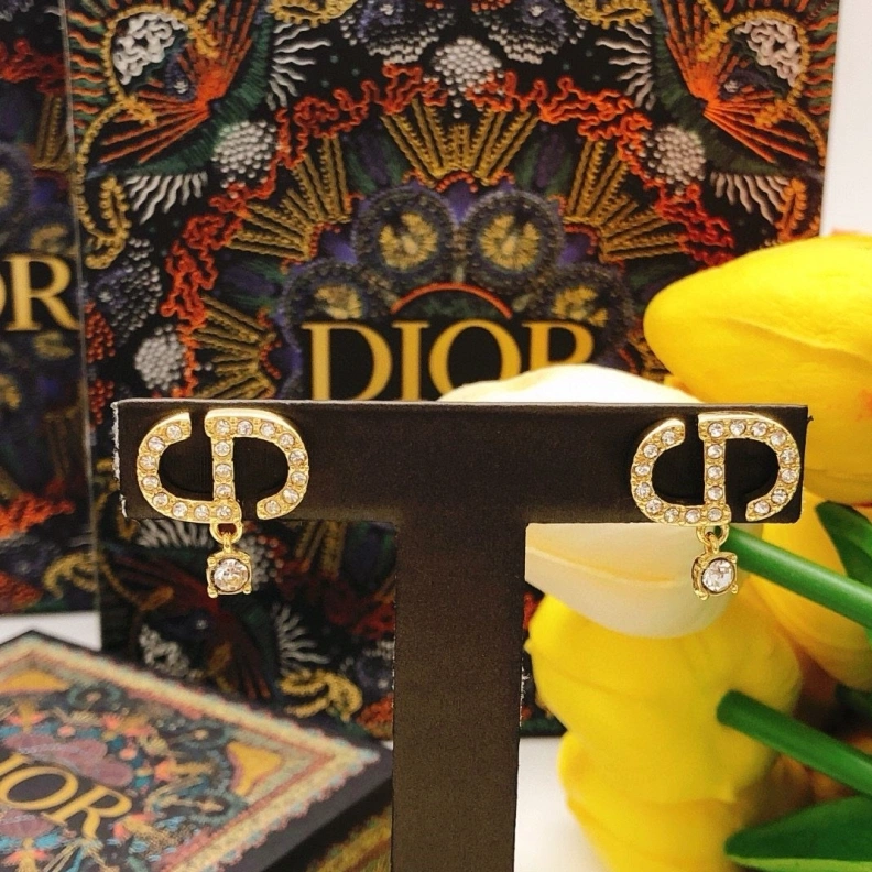 Christian Dxxr Earrings Modern 293894