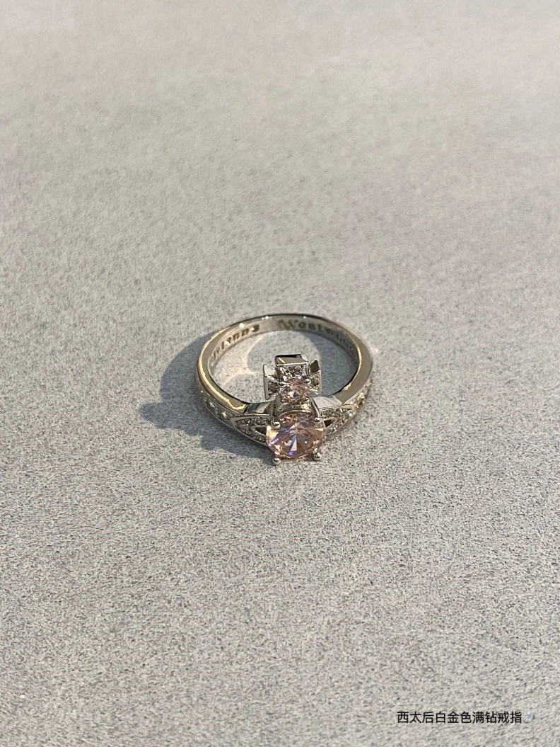 VIVENNE WESTWOOD Sleek 312597