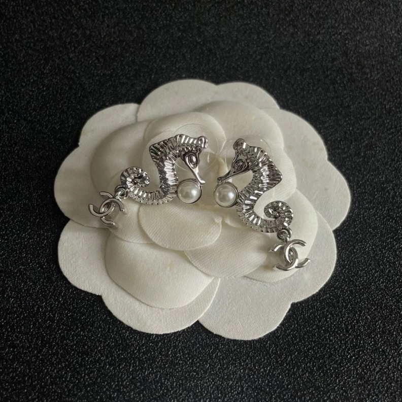 Functional Chxnxl Earrings 284285
