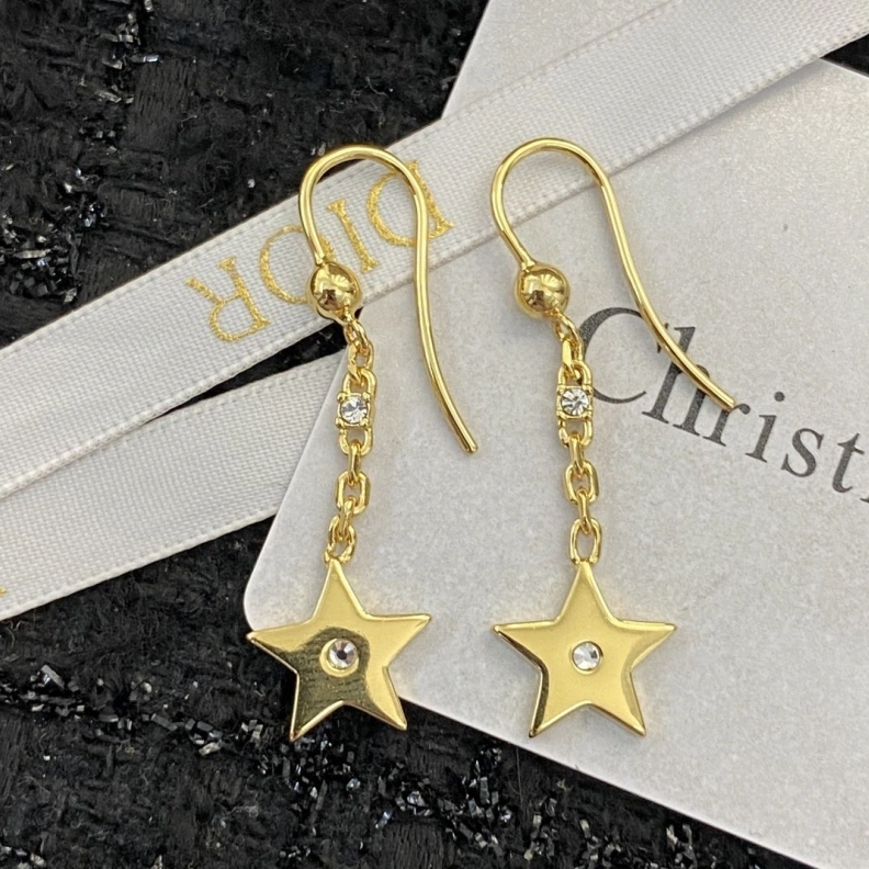 Christian Dxxr Earrings DailyWear 294549