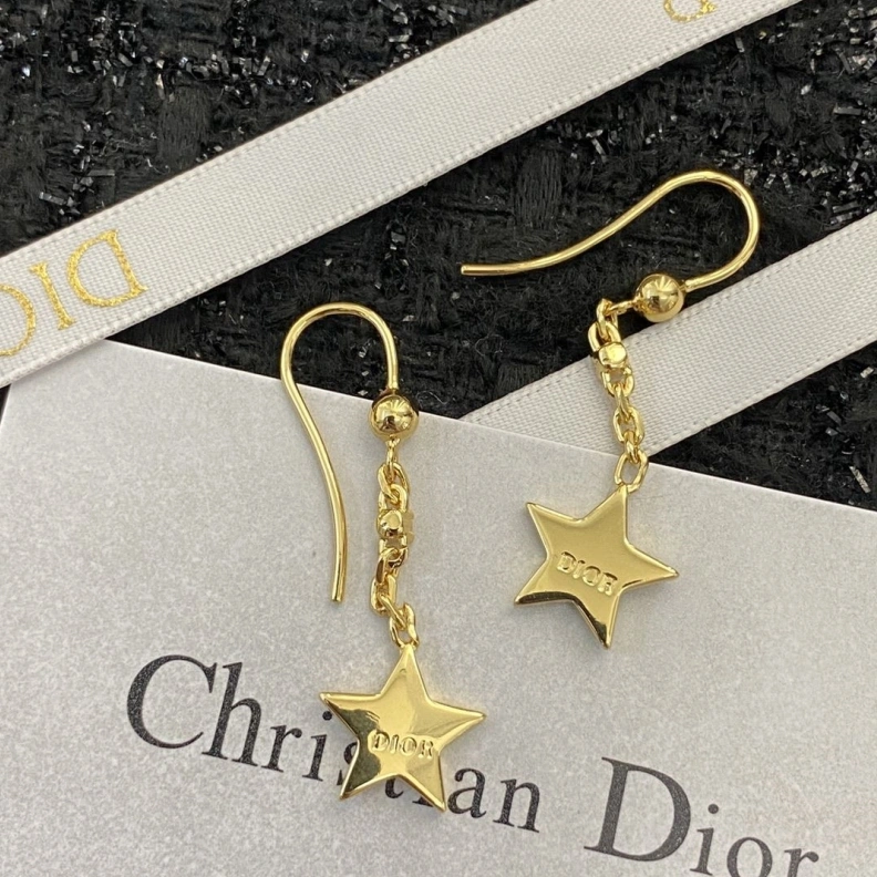 Christian Dxxr Earrings DailyWear 294549