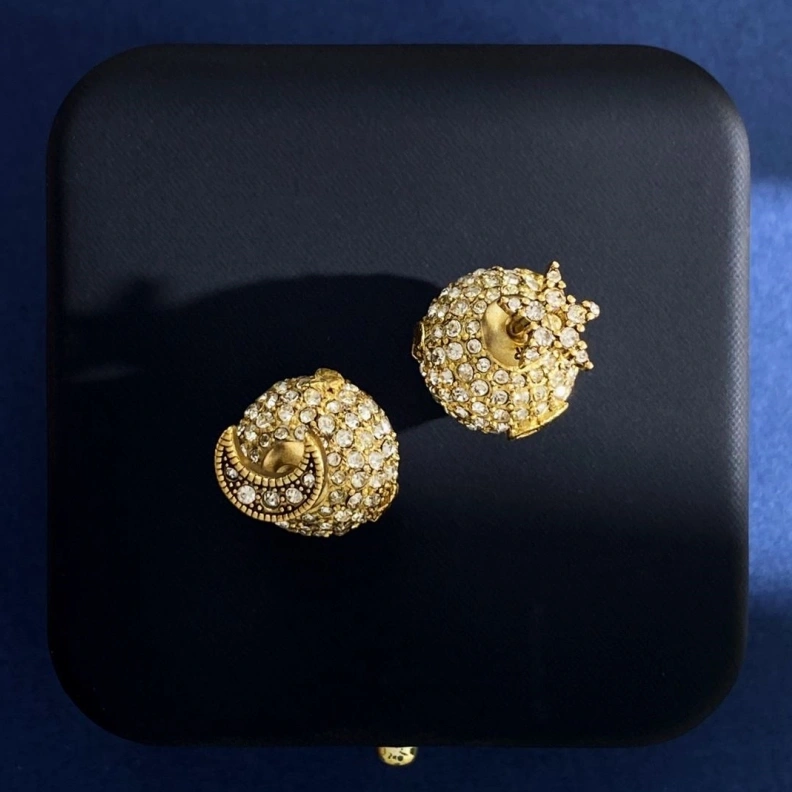 Christian Dxxr Earrings HighQuality 293885