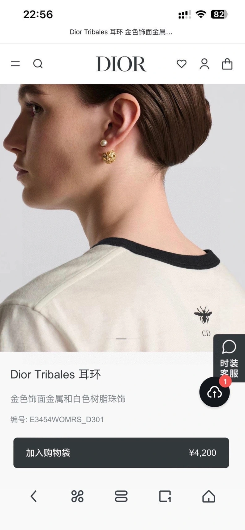 Bright Christian Dxxr Earrings 293879