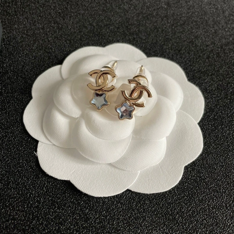 Chxnxl Earrings EasyMatch 287536