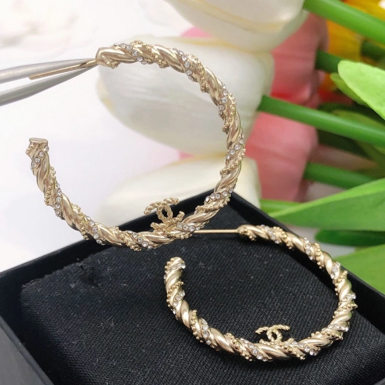 Chxnxl Earrings Vibrant 287523