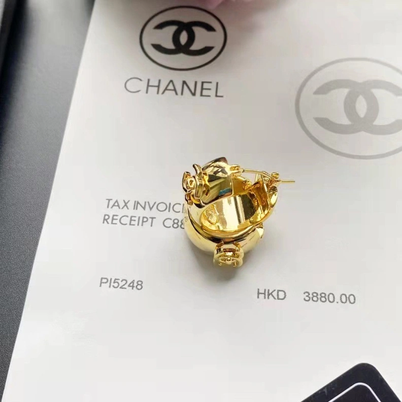 Chxnxl Earrings DailyWear 284172