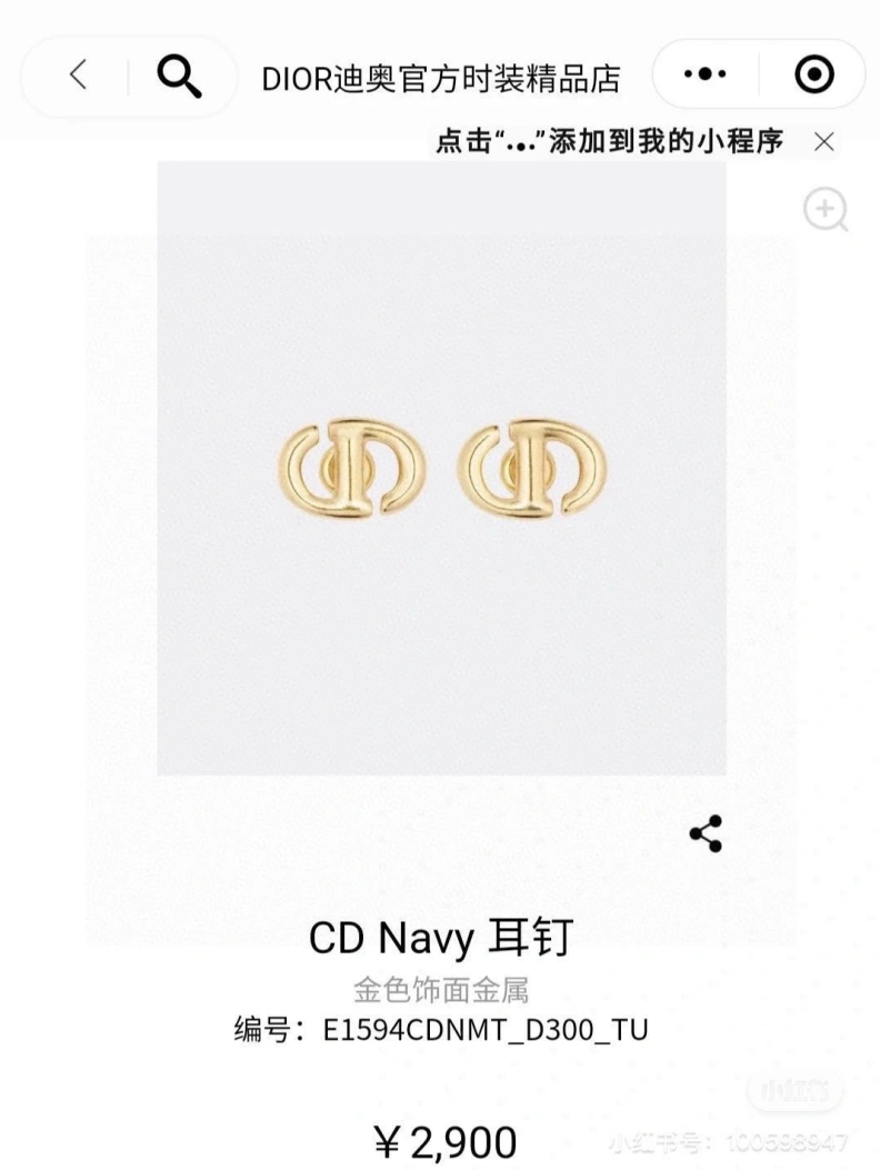 Christian Dxxr Earrings HighQuality 293863
