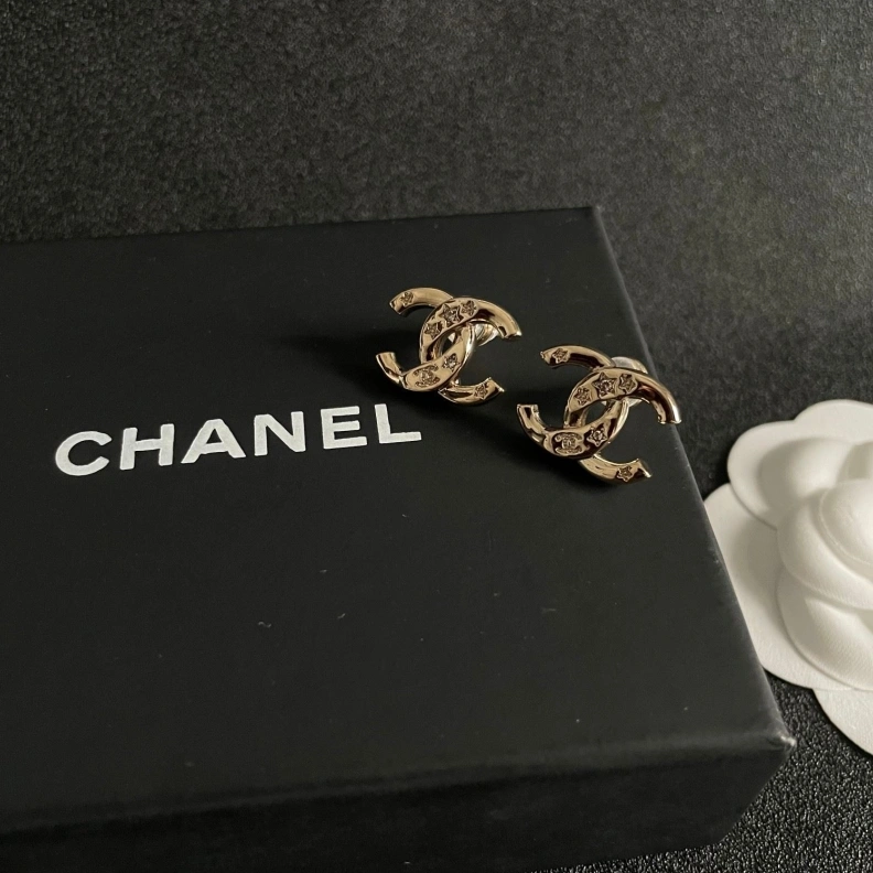 GoAnywhere Chxnxl Earrings 287515