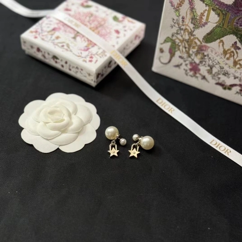 Timeless Christian Dxxr Earrings 293849