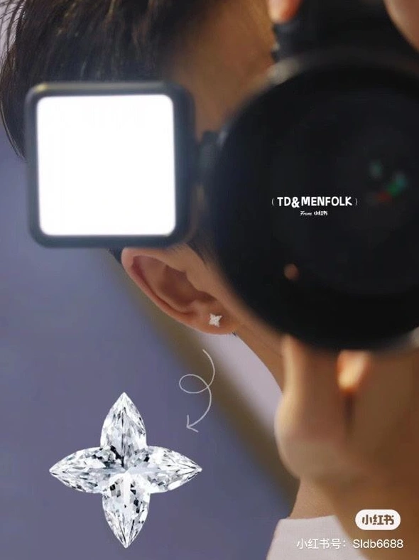 Trendsetting LX Earrings 308615