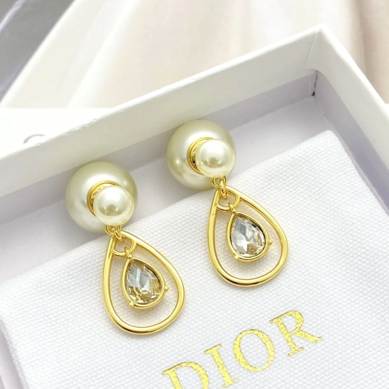 Christian Dxxr Earrings BestValue 293847