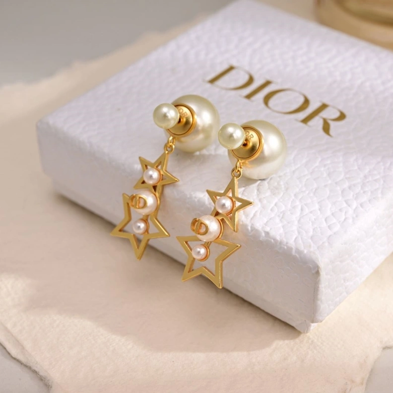 Christian Dxxr Earrings Sleek 293841