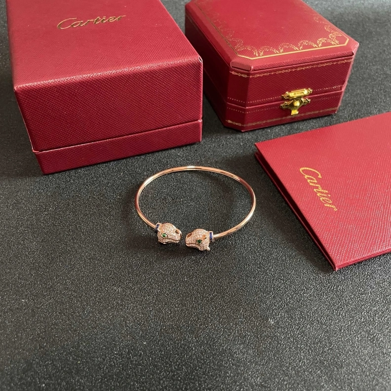Cxrtxer Bracelets Trendsetting 283157