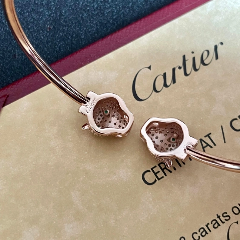 Cxrtxer Bracelets Trendsetting 283157