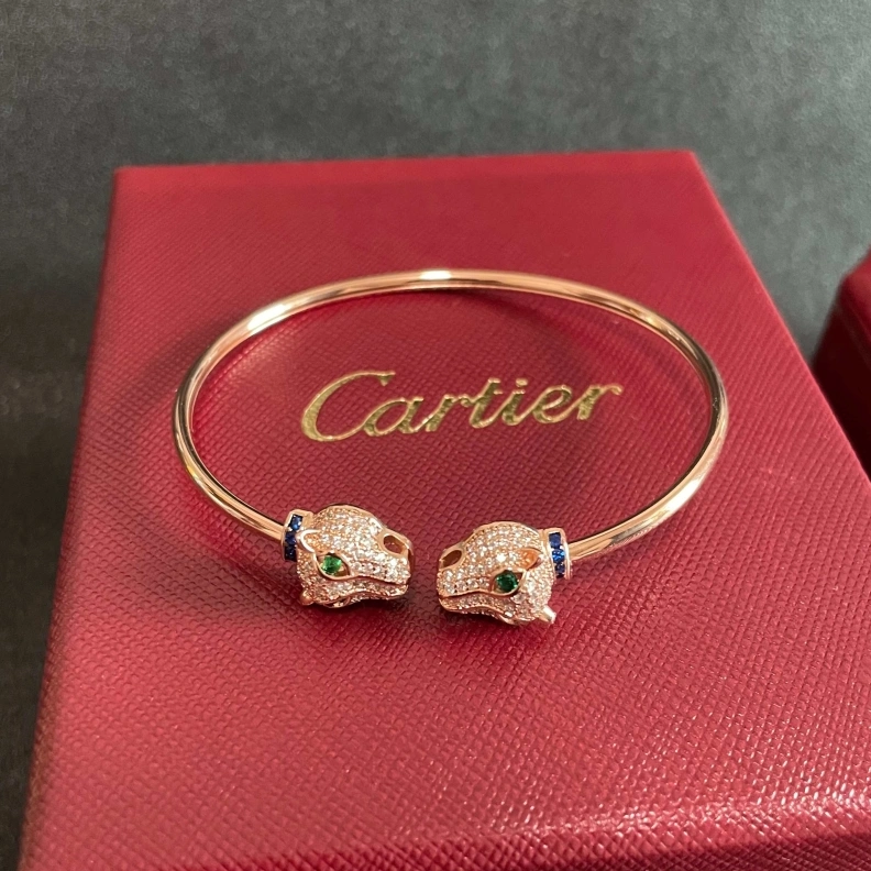 Cxrtxer Bracelets Trendsetting 283157