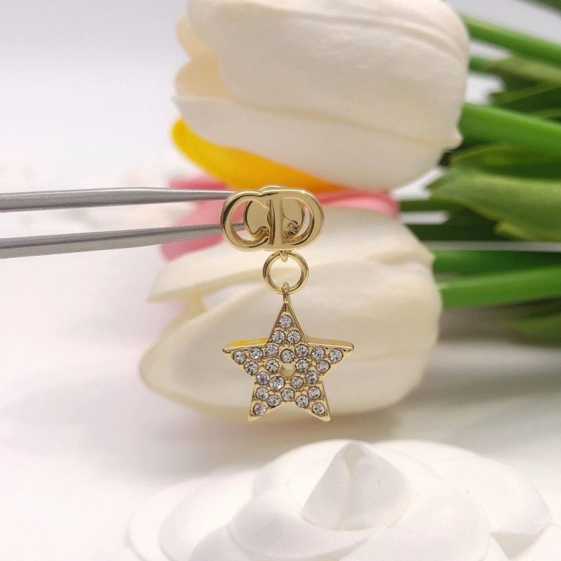 Christian Dxxr Earrings Classic 293832