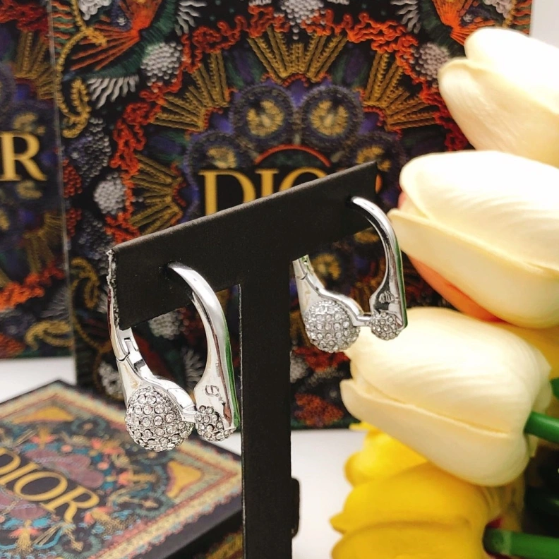 Elegant Christian Dxxr Earrings 293824