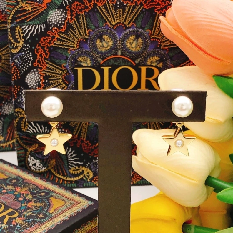 Christian Dxxr Earrings BestValue 293831