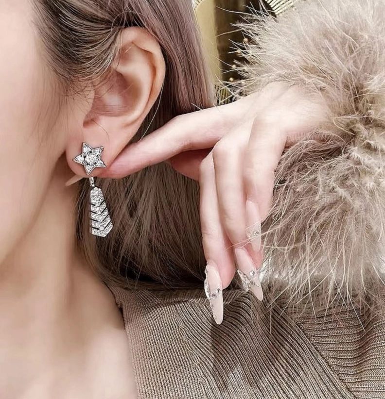 Chxnxl Earrings Elegant 287488
