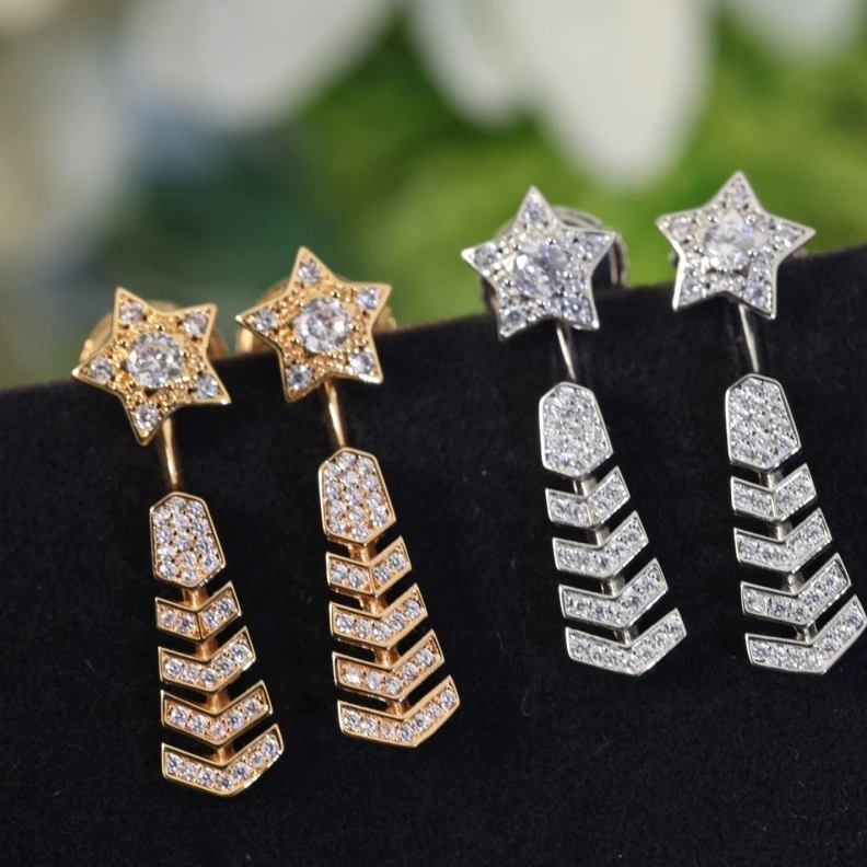 Chxnxl Earrings Elegant 287488