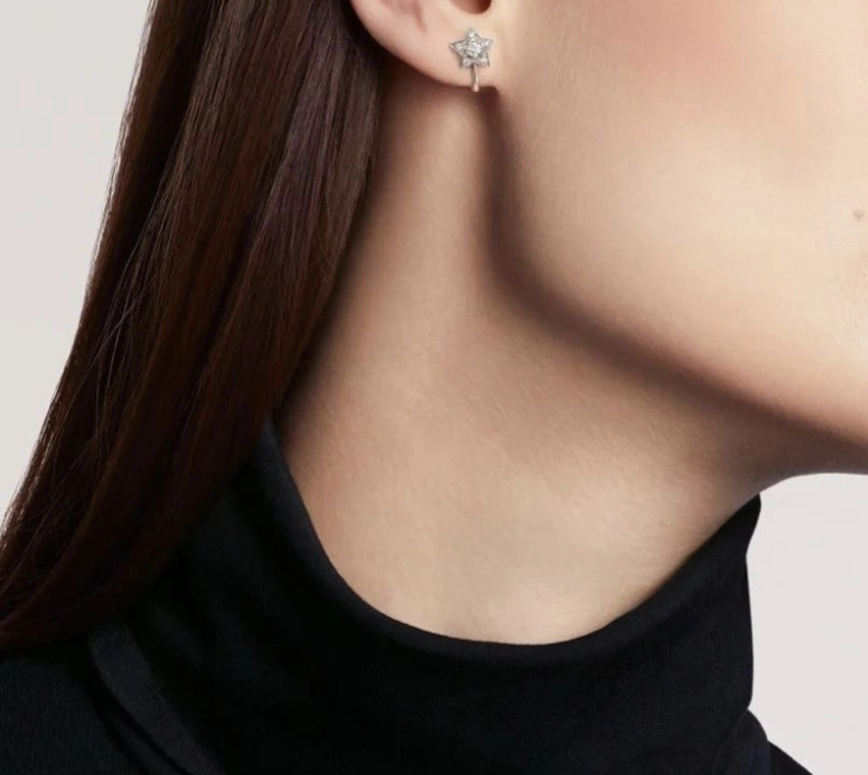 Chxnxl Earrings Elegant 287488