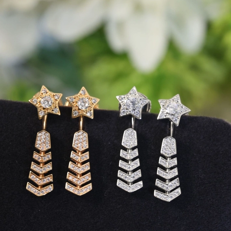 Chxnxl Earrings Elegant 287488