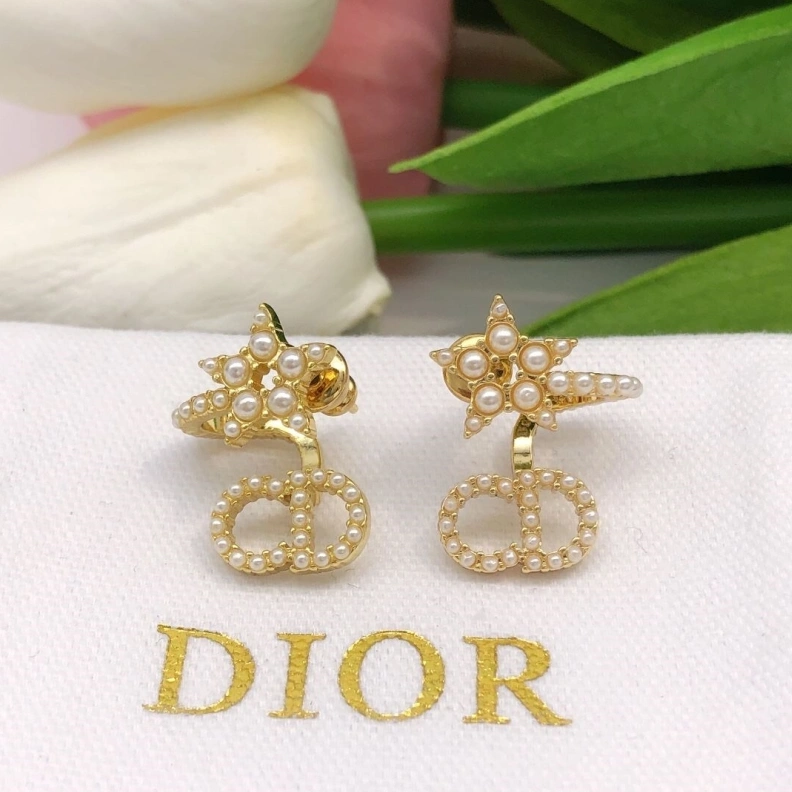 Classic Christian Dxxr Earrings 293809
