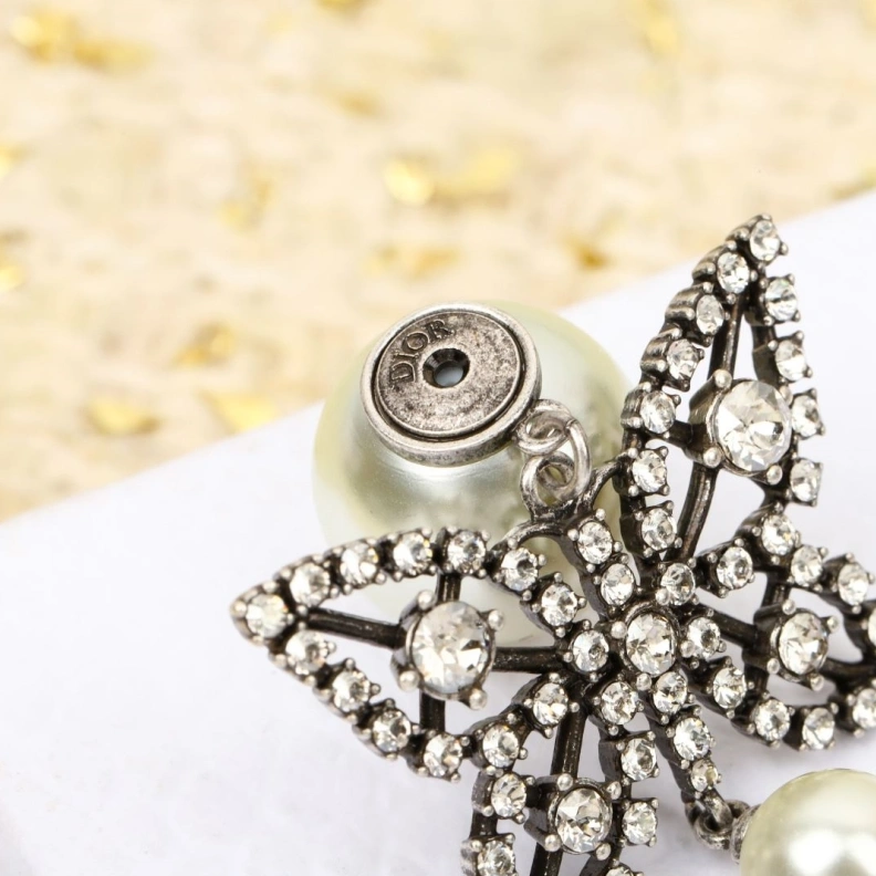 Christian Dxxr Earrings Fashionable 293805