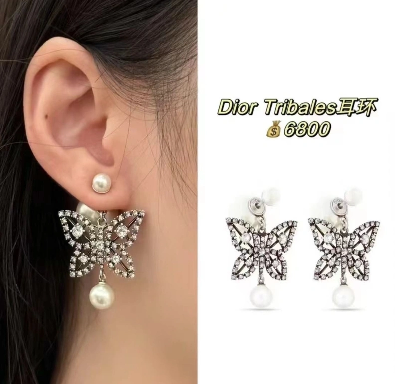 Christian Dxxr Earrings Fashionable 293805