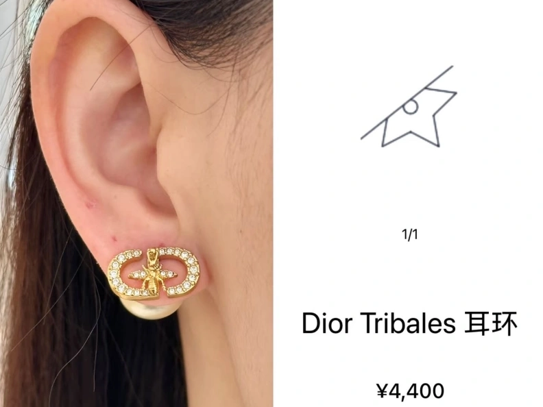 Christian Dxxr Earrings EyeCatching 294538