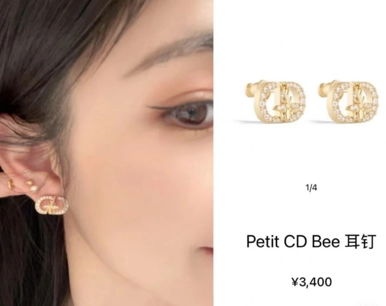 Vibrant Christian Dxxr Earrings 294539