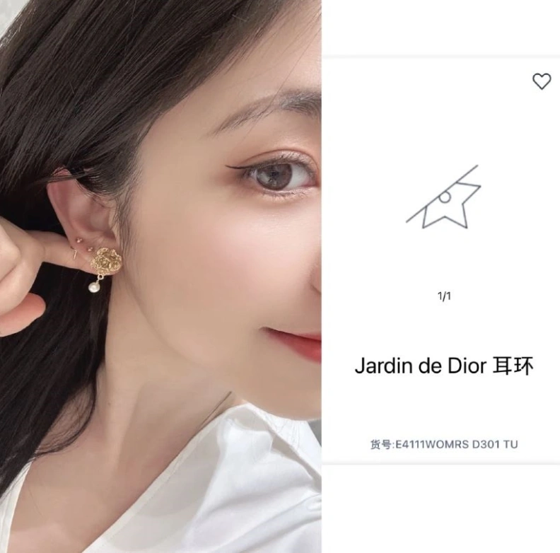 WellDesigned Christian Dxxr Earrings 293801