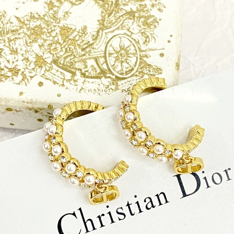 Christian Dxxr Earrings Soft 293800