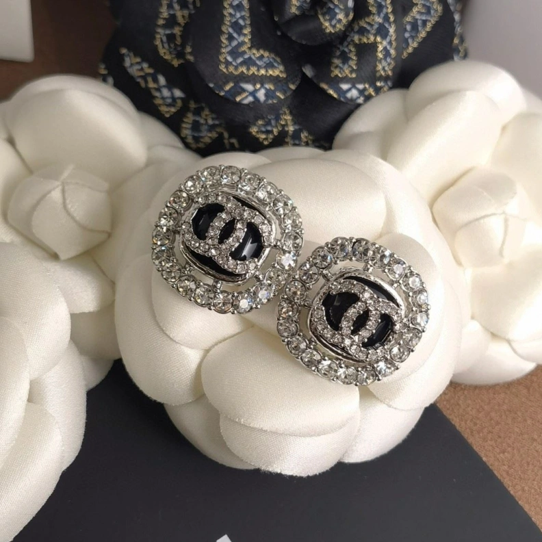 GoAnywhere Chxnxl Earrings 287494