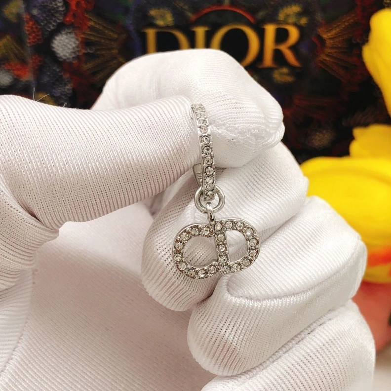 Christian Dxxr Earrings Affordable 294534
