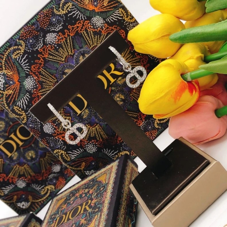 Christian Dxxr Earrings Affordable 294534