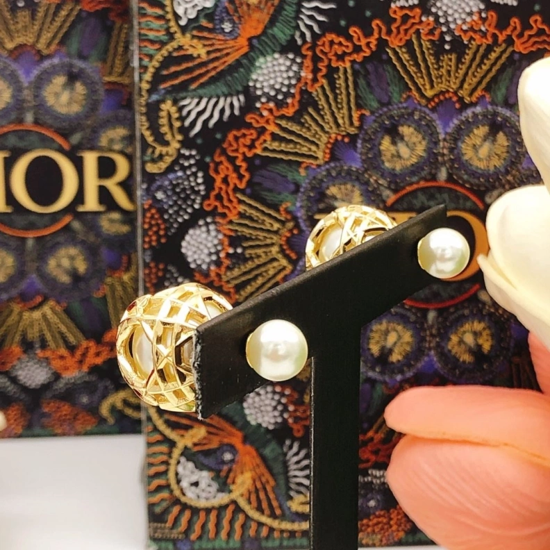 Christian Dxxr Earrings Fashionable 294527