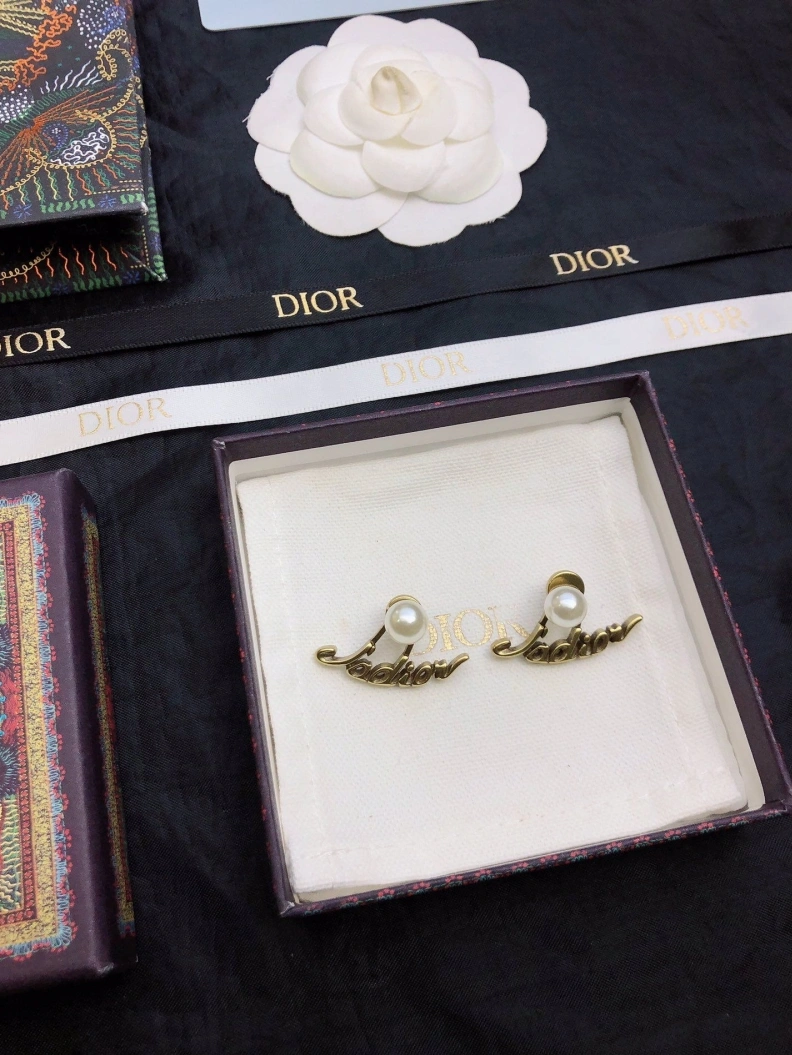 DailyWear Chxnxl Earrings 287409