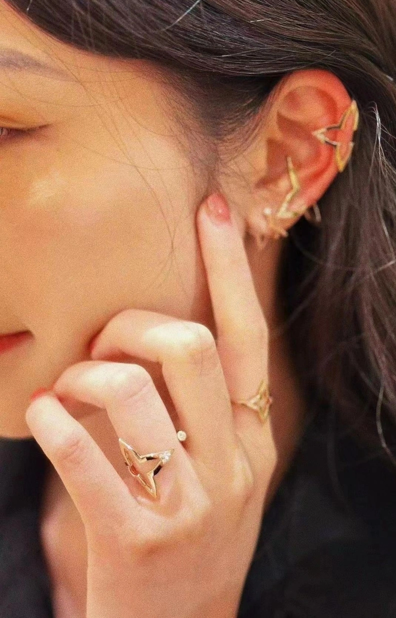 LX Earrings Flexible 309450