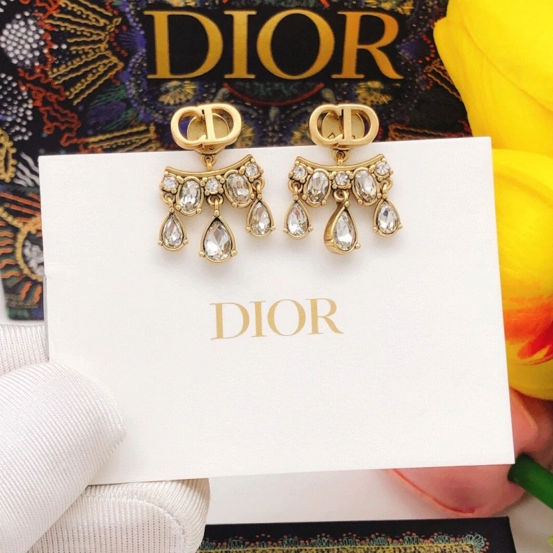 Christian Dxxr Earrings Bright 294498